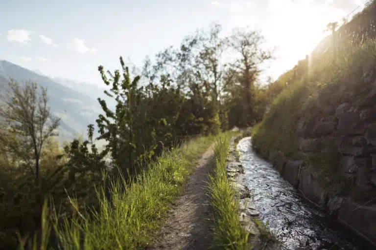 Ein schmaler Feldweg und ein Bach verlaufen nebeneinander durch einen sonnenbeschienenen, grasbewachsenen Hang.