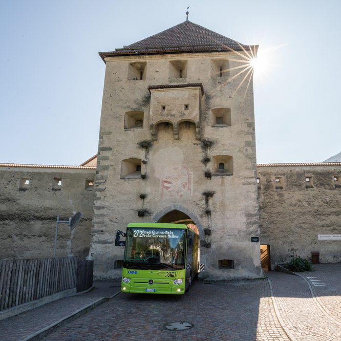 Ein grüner Bus fährt unter einem historischen Steintor hindurch, das von oben mit Sonnenlicht beschienen wird.