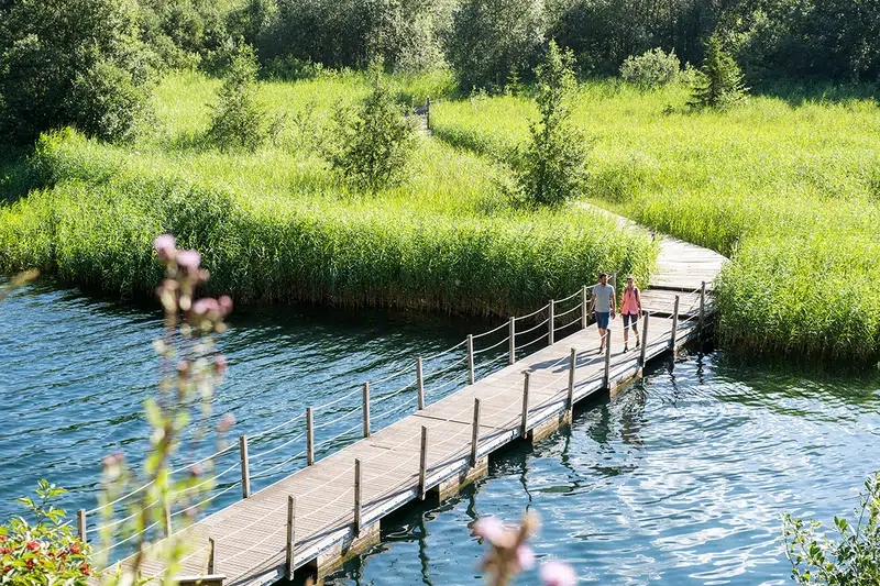 Zwei Personen gehen auf einer Holzbrücke über das Wasser, umgeben von üppiger grüner Vegetation.
